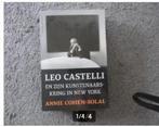Leo Castelli en zijn kunstenaarskring in New York, Boeken, Cohen-Solal, Kunst en Cultuur, Ophalen of Verzenden, Zo goed als nieuw