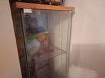 Glazen design vitrinekast, Huis en Inrichting, Kasten | Vitrinekasten, Zo goed als nieuw, 150 tot 200 cm, 25 tot 50 cm, 50 tot 100 cm