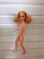 Vintage barbie poppen skipper, Ophalen of Verzenden, Gebruikt, Fashion Doll