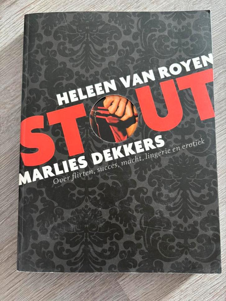 Marlies Dekkers - Stout, Boeken, Essays, Columns en Interviews, Zo goed als nieuw, Ophalen