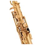 Nieuwe Alt Saxofoon Jupiter JAS500Q, Muziek en Instrumenten, Blaasinstrumenten | Saxofoons, Nieuw, Ophalen of Verzenden, Met koffer