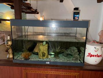 AQUARIUM MET ETEN beschikbaar voor biedingen