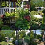 Tuinhuis op volkstuin te koop, Gebruikt, Ophalen of Verzenden, 400 cm of meer, 500 cm of meer