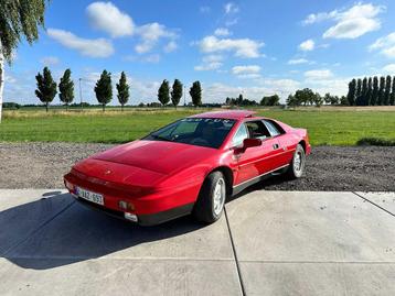 1989 Lotus Esprit 2.2 Turbo beschikbaar voor biedingen