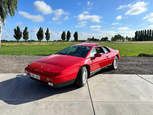 1989 Lotus Esprit 2.2 Turbo, Auto's, Lotus, Bedrijf, Esprit, Overige brandstoffen, Coupé, Handgeschakeld, Gebruikt