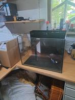 Waterbox AIO 35.2 gebruikt, Dieren en Toebehoren, Ophalen, Gebruikt, Leeg aquarium