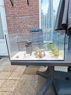 Aquarium, Doe-het-zelf en Verbouw, Kozijnen en Schuifpuien, 75 tot 150 cm, Gebruikt, Raamkozijn, Ophalen of Verzenden