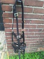 Greenguard halster + graasmasker maat Cob, Ophalen of Verzenden, Gebruikt, Overige soorten