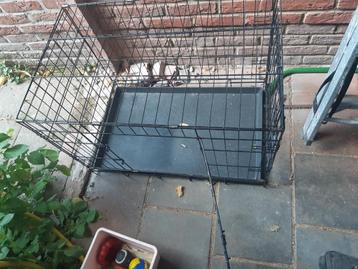 Puppy start set, bench, speeltjes en zakjes beschikbaar voor biedingen