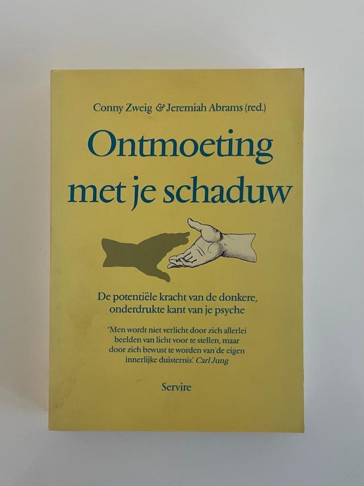 Ontmoeting met je Schaduw, Conny Zweig & Jeremiah Abrams, Boeken, Esoterie en Spiritualiteit, Zo goed als nieuw, Overige typen