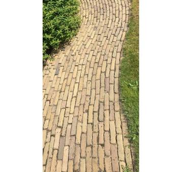 Gebakken waaltjes, vijfduimers, klinkers beschikbaar voor biedingen