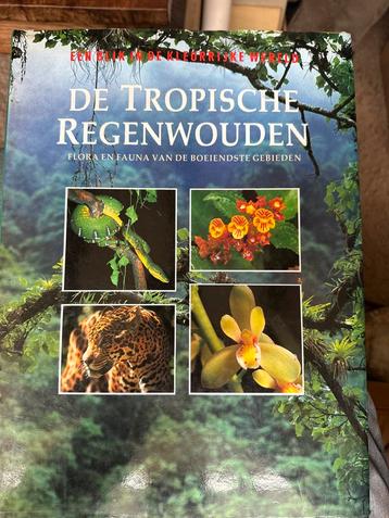 Tropische Regenwouden - Flora & Fauna beschikbaar voor biedingen