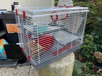 Mooie Hamsterkooi met toebehoren beschikbaar voor biedingen