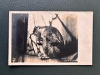 Ansichtkaart aap (reclame Korff's cacao) (1911), Verzenden, Voor 1920, Gelopen, Overige soorten