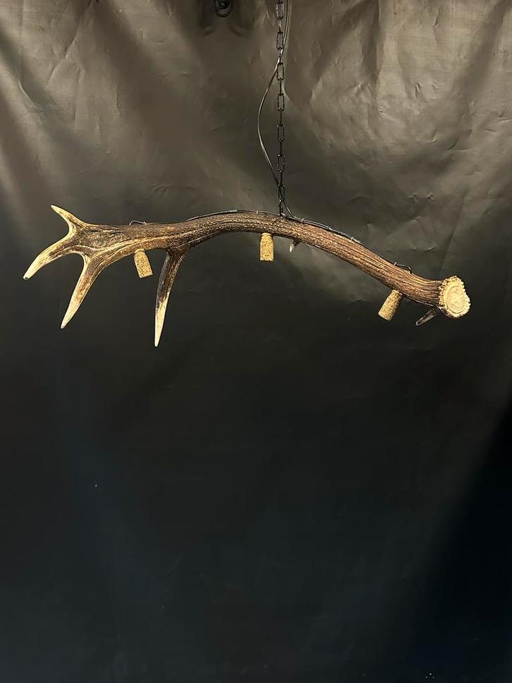 Geweienlamp.lamp.hanglamp.geweien.edelhert.damhert.brocante, Huis en Inrichting, Lampen | Hanglampen, Nieuw, Ophalen