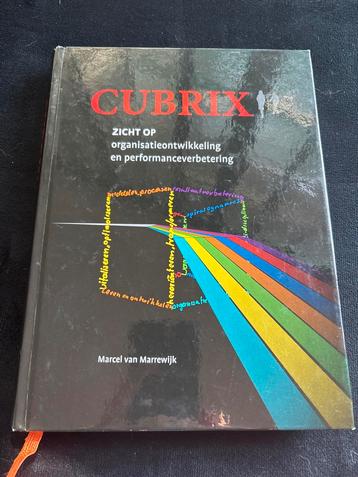 Cubrix – Organisatieontwikkeling & Spiral Dynamics beschikbaar voor biedingen