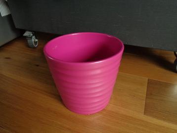 fuchsia roze bloempot kamerplanten binnen  beschikbaar voor biedingen