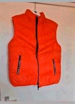 Nieuwe bodywarmer maat XL. Okselmaat 54 cm. Unisex, Kleding | Heren, Bodywarmers, Ophalen of Verzenden, Nieuw, Maat 56/58 (XL)