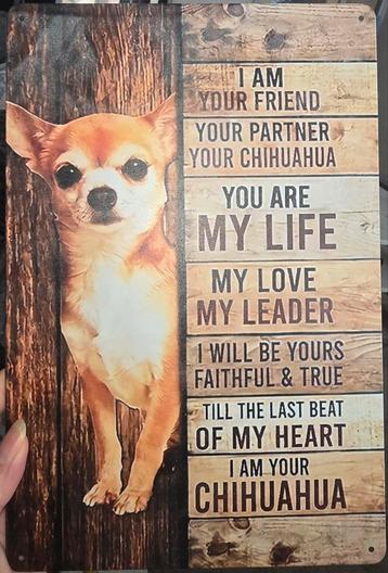 metalen bordje voor chihuahua liefhebbers 20x30cm beschikbaar voor biedingen
