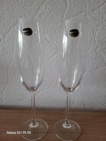Prosecco glazen Kristal beschikbaar voor biedingen