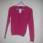 H&M dames vest fuchsia roze maat XS nieuw, Kleding | Dames, Truien en Vesten, Ophalen, Nieuw, Maat 34 (XS) of kleiner, Roze