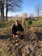 Uw tuin onderhouden, snoeien, of opnieuw inrichten,?, Diensten en Vakmensen, Tuinmannen en Stratenmakers, Tuinontwerp