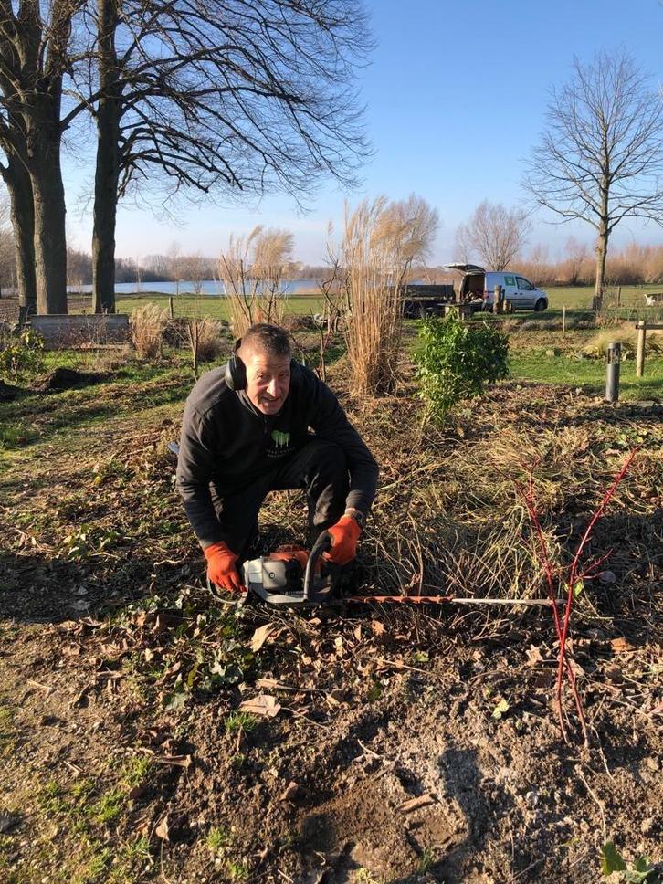 Uw tuin onderhouden, snoeien, of opnieuw inrichten,?, Diensten en Vakmensen, Tuinmannen en Stratenmakers, Tuinonderhoud of Snoeiwerk
