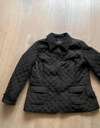 Sixt sense 46 nieuw, Ophalen of Verzenden, Zo goed als nieuw, Maat 46/48 (XL) of groter, Bruin