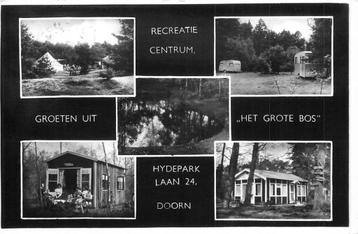 (381-079-023) Doorn Groeten uit het Grote Bos beschikbaar voor biedingen