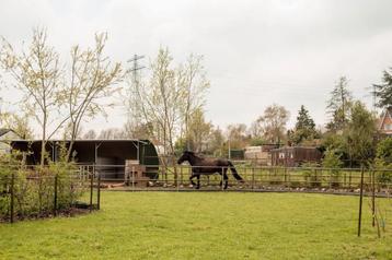 Leuke, gezellige en fijne plek voor 2 pony's of 1 paard. beschikbaar voor biedingen