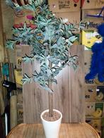 Kunstboom olijfboom in pot 1 meter 38 cm H, Huis en Inrichting, Woonaccessoires | Kunstplanten en Kunstbloemen, Ophalen of Verzenden