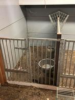 3 keer hokje geit of aflammer hokjes, Dieren en Toebehoren, Vrouwelijk, Geit