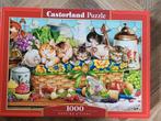 puzzels Castorland Falcon Bluebird Galison Corner Piece, Ophalen of Verzenden, 500 t/m 1500 stukjes, Zo goed als nieuw, Legpuzzel