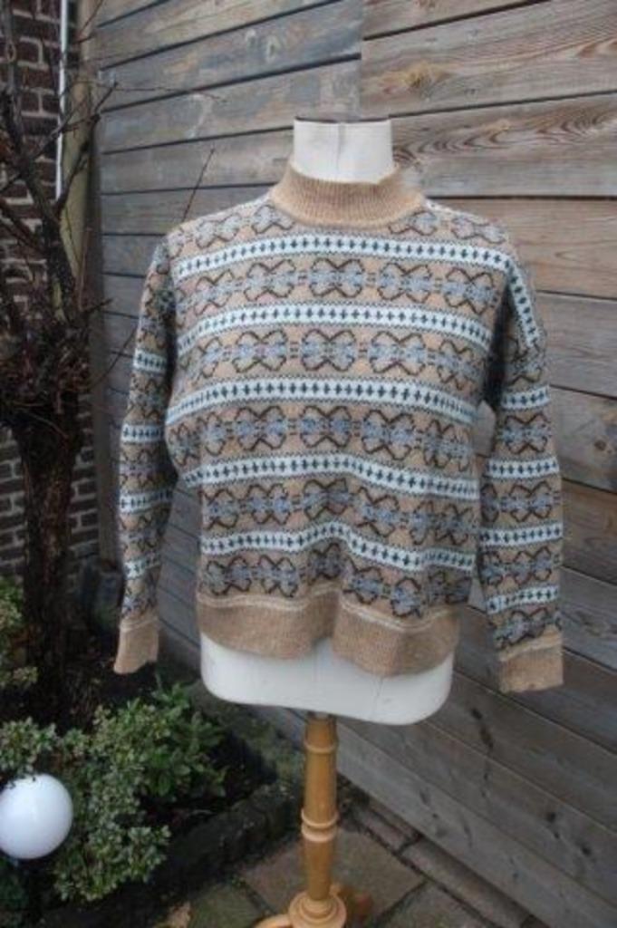 Trui bruin Monoprix Femme mt L Vaste prijs, Kleding | Dames, Truien en Vesten, Zo goed als nieuw, Maat 42/44 (L), Bruin, Ophalen of Verzenden