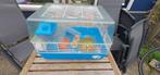 Hamsterkooi en toebehoren, Dieren en Toebehoren, Kooi, Gebruikt, Minder dan 75 cm, Hamster
