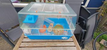 Hamsterkooi en toebehoren  beschikbaar voor biedingen