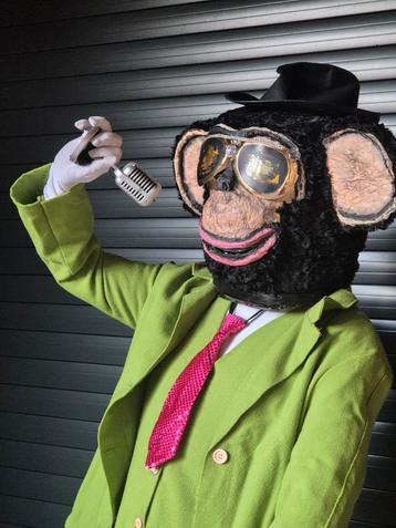 Masked Singer Kostuums te huur - Complete Sets beschikbaar voor biedingen
