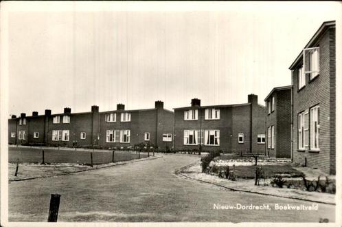 Rijtjeshuizen in Boekweitveld, Nieuw-Dordrecht, Verzamelen, Ansichtkaarten | Nederland, Gelopen, Drenthe, 1920 tot 1940, Ophalen of Verzenden