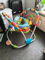 Baby Einstein Neighborhood Activity Jumper - Zeer Goed!, Kinderen en Baby's, Speelgoed | Babyspeelgoed, Ophalen, Zo goed als nieuw