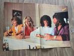 Poster van de band ABBA uit 1980!, Ophalen of Verzenden, A1 t/m A3
