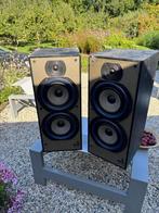 B&W DM 220, Audio, Tv en Foto, Ophalen, Gebruikt, 60 tot 120 watt, Bowers & Wilkins (B&W)