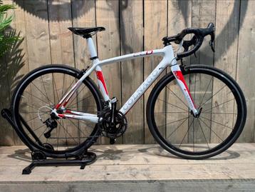 Calnago CLD Carbon Racefiets 48cm - erg goede staat beschikbaar voor biedingen