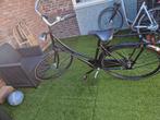 Nieuwe Cumberland York Damesfiets, Overige merken, 53 tot 56 cm, Versnellingen, Nieuw