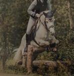 Luxe JC veelzijdigheidszadel ponyzadel en KN dressuurzadel, Dieren en Toebehoren, Paarden en Pony's | Zadels, Ophalen of Verzenden