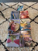 Complete Hobby Schilder Boeken Serie, Ophalen of Verzenden, Zo goed als nieuw, Tekenen en Schilderen