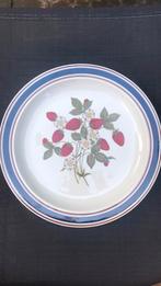 Groot bord strawberries, Ophalen of Verzenden, Zo goed als nieuw, Bord(en), Overige stijlen