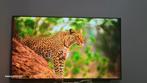 LG OLED C9    55 inch Smart TV, Audio, Tv en Foto, Ophalen of Verzenden, Zo goed als nieuw, 4k (UHD), 60 tot 80 cm
