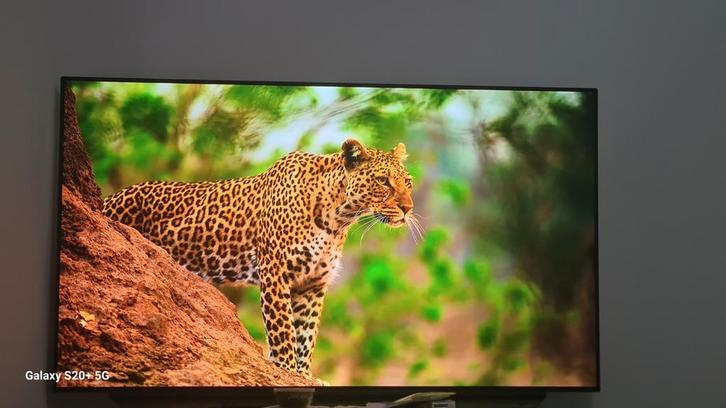 LG OLED C9    55 inch Smart TV, Audio, Tv en Foto, Televisies, Zo goed als nieuw, OLED, 60 tot 80 cm, 4k (UHD), LG, 120 Hz, Smart TV