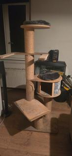 Goede krappaal mag weg voor weinig, Dieren en Toebehoren, Ophalen of Verzenden