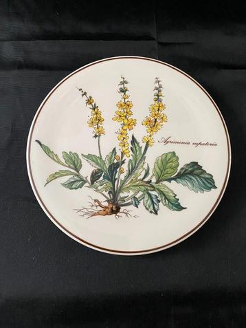 Retro Villeroy & Boch Botanica onderzetter. - Dia 24 beschikbaar voor biedingen
